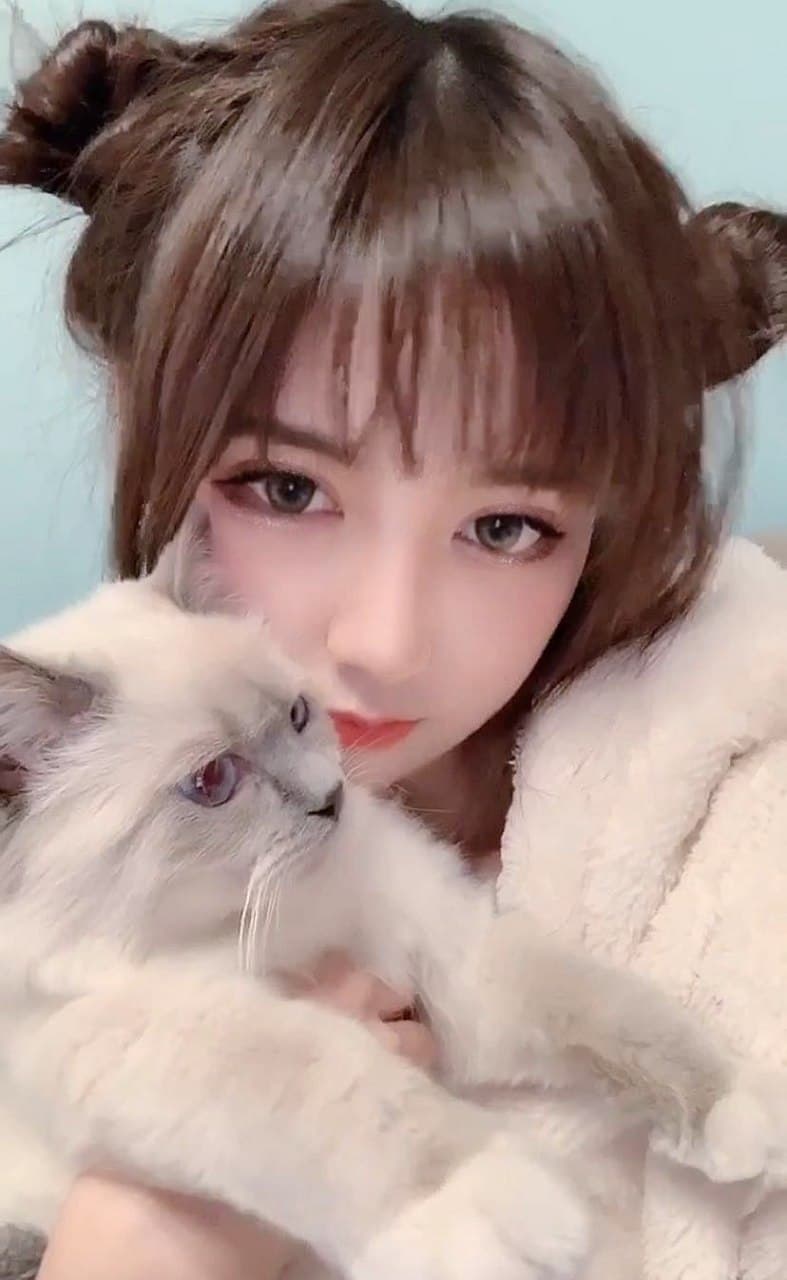 귀염이
